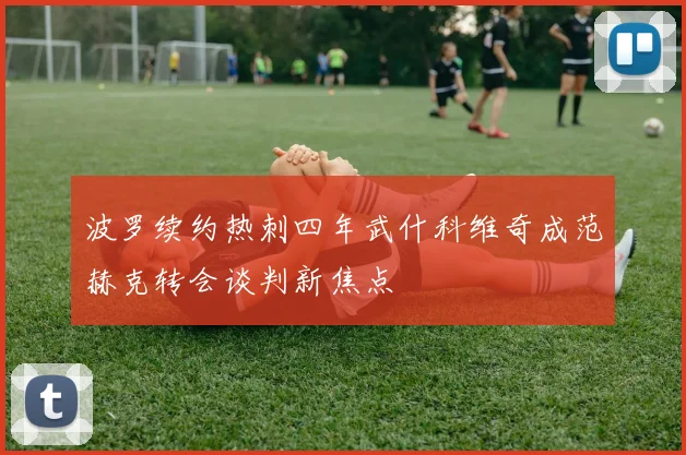 波罗续约热刺四年武什科维奇成范赫克转会谈判新焦点